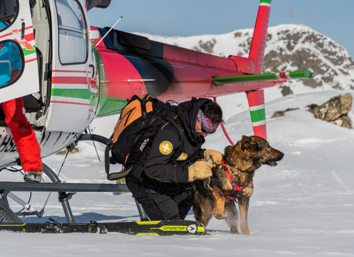 PISTEUR ET CHIEN D'AVALANCHE